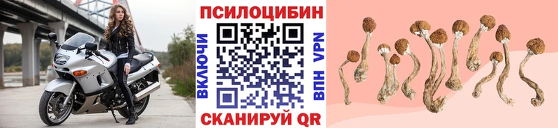 Псилоцибиновые грибы ЛСД Магас
